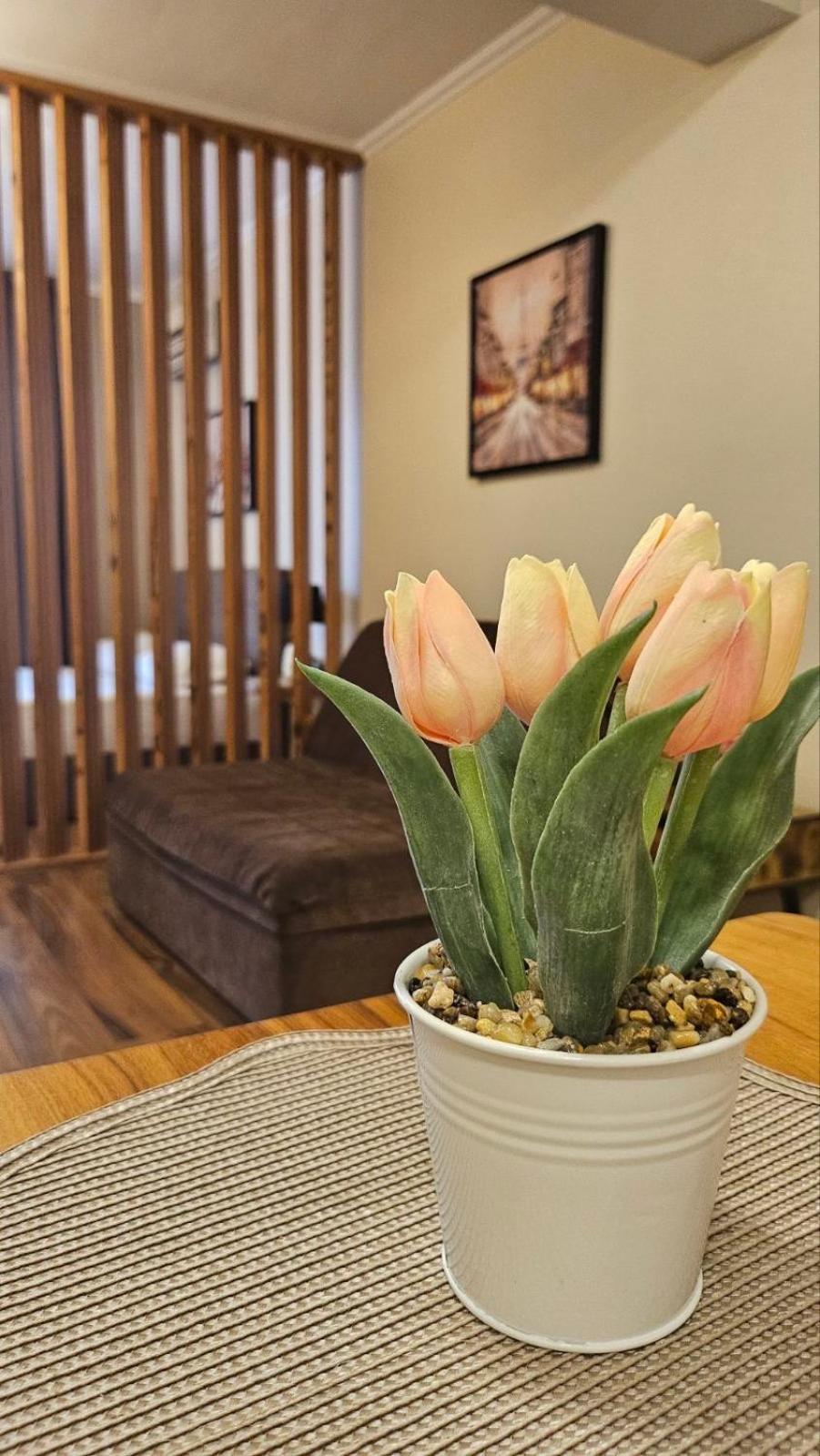 7 And 2 Quietly And Peaceful Place To Relax Apartment Sozopol